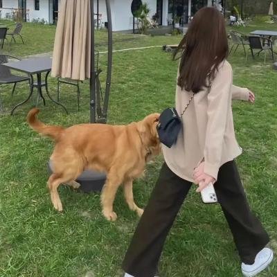 医妃难囚第三季